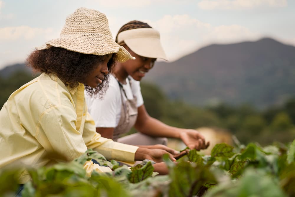 Farmers with produce